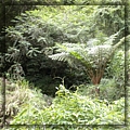 8-25 am 10-19-13-麻荖漏步道.JPG